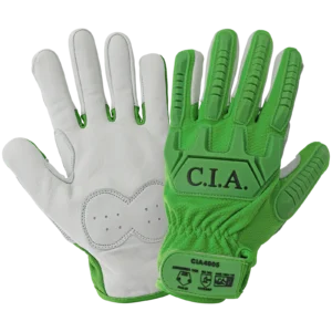 CIA4005